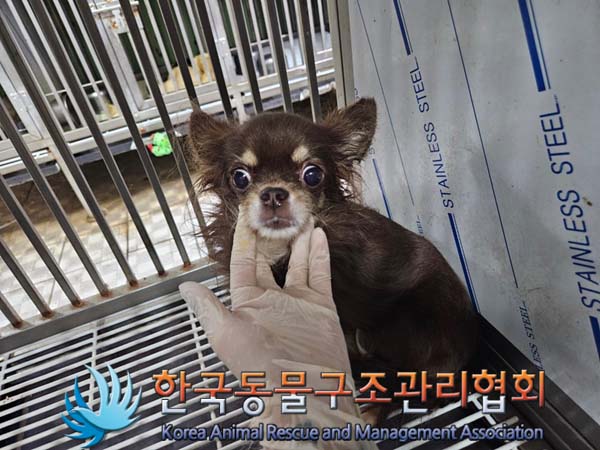 한국동물구조관리협회_411316202400489